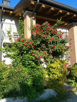 Giardino di B&B Marostica