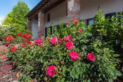 Giardino di Country house Viaro_150sqm