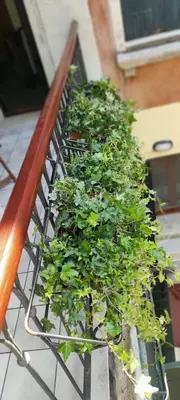 Balcone o terrazza di Ca' Baby Venezia