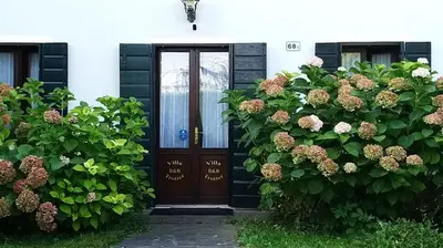 Giardino di B&B Villa Trotter