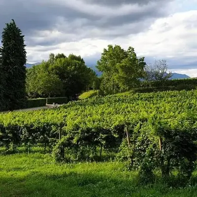 Agriturismo l'Eremo