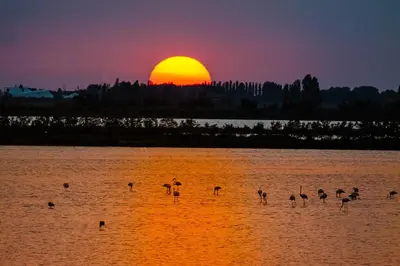 Alba o tramonto visti dall'interno della villa o dai dintorni