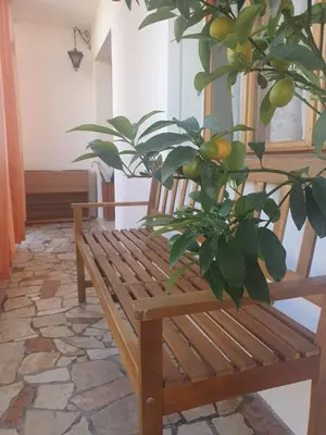 Area soggiorno di Margi House