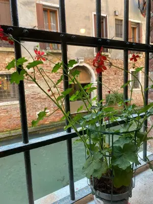 Giardino di CANAL VIEW