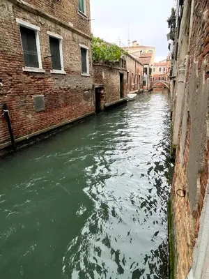 Vista sul fiume nelle vicinanze dell'appartamento