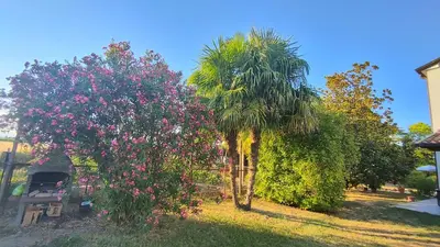 Giardino di B&B Al Vecio Morer