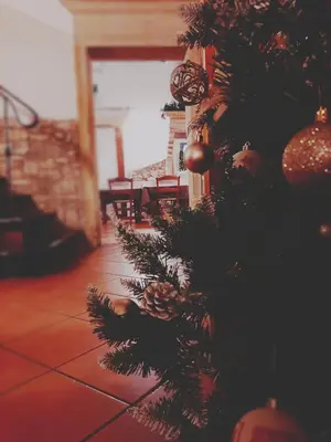Planimetria di Il Feudo