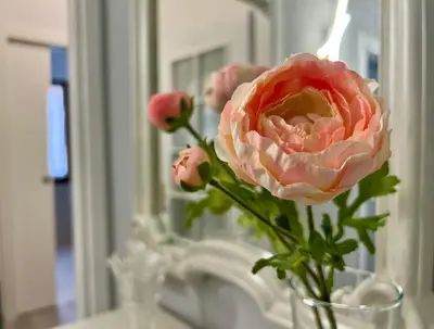 Planimetria di Interno1