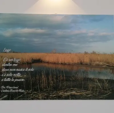 Paesaggio naturale nelle vicinanze dell'affittacamere