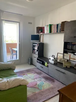 Biblioteca nell'appartamento