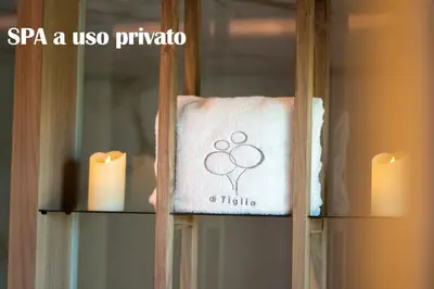 Certificato, attestato, insegna o altro documento esposto da AL TIGLIO