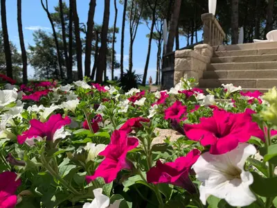 Giardino di Hotel Beau Rivage Pineta