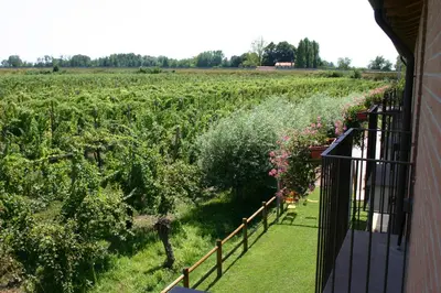 Giardino di Borgo Ronchetto