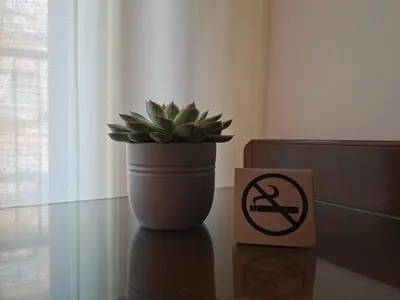 Planimetria di Hotel Venca'