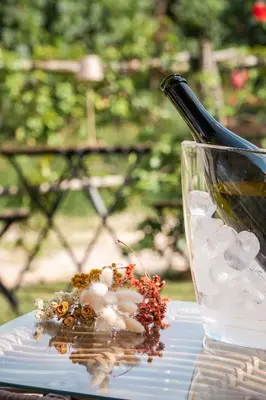 Bevande di Le Vigne del Gallo