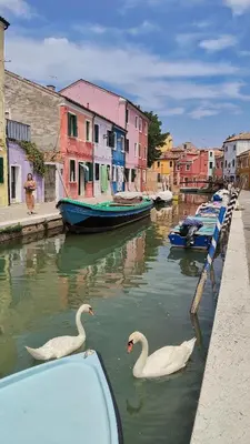 Paesaggio naturale nelle vicinanze dell'appartamento