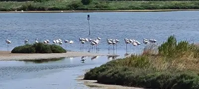 Paesaggio naturale nelle vicinanze dell'appartamento