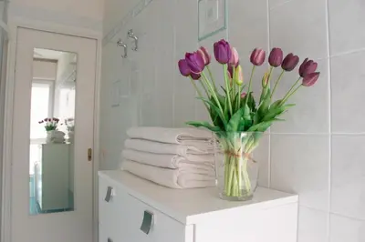 Bagno di Casa Fiorella
