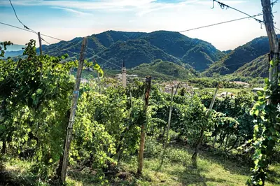 Paesaggio naturale nelle vicinanze dell'agriturismo