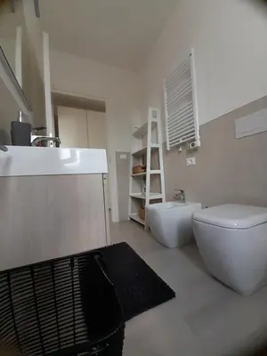 Bagno di Ca' Savio terramare