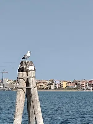 Paesaggio naturale nelle vicinanze dell'appartamento