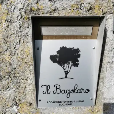 Il Bagolaro