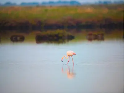 Paesaggio naturale nelle vicinanze dell'appartamento