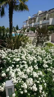 Giardino di Residence Jesolo Lido centro con piscina