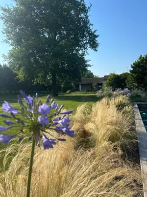 Giardino di Il Glicine - Natural BnB