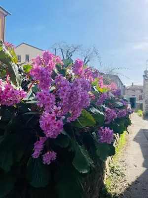 Giardino di Borgo Cortivi b&b