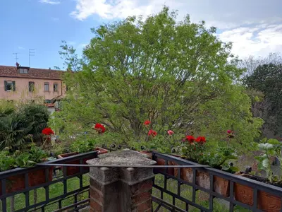 Giardino di Giudecca Palanca 664